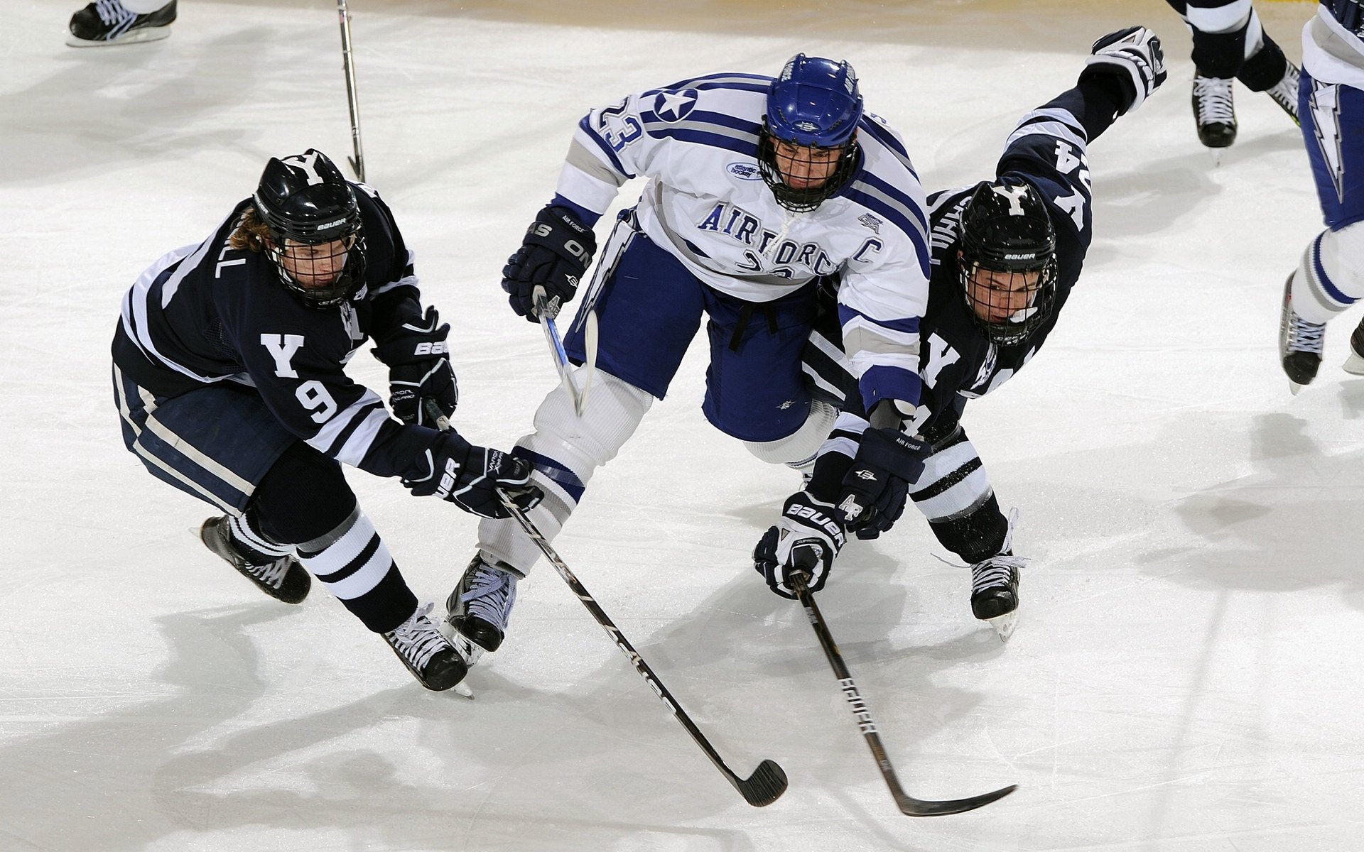 从低谷到巅峰，伤病康复背后的体育精神与科技力量