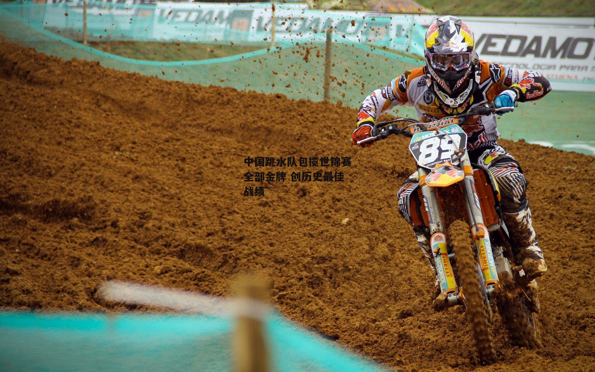 中国跳水队包揽世锦赛全部金牌 创历史最佳战绩