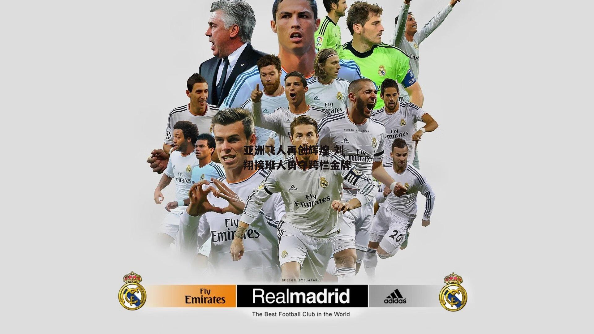 亚洲飞人再创辉煌 刘翔接班人勇夺跨栏金牌