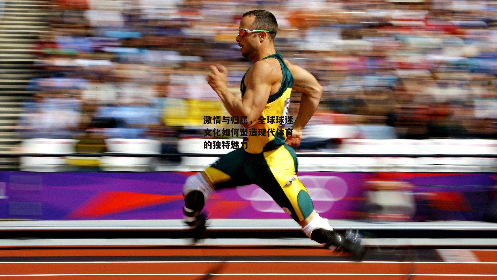 激情与归属,全球球迷文化如何塑造现代体育的独特魅力